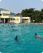Summer Camps