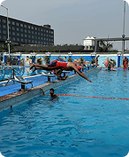 Competitive Training Camps